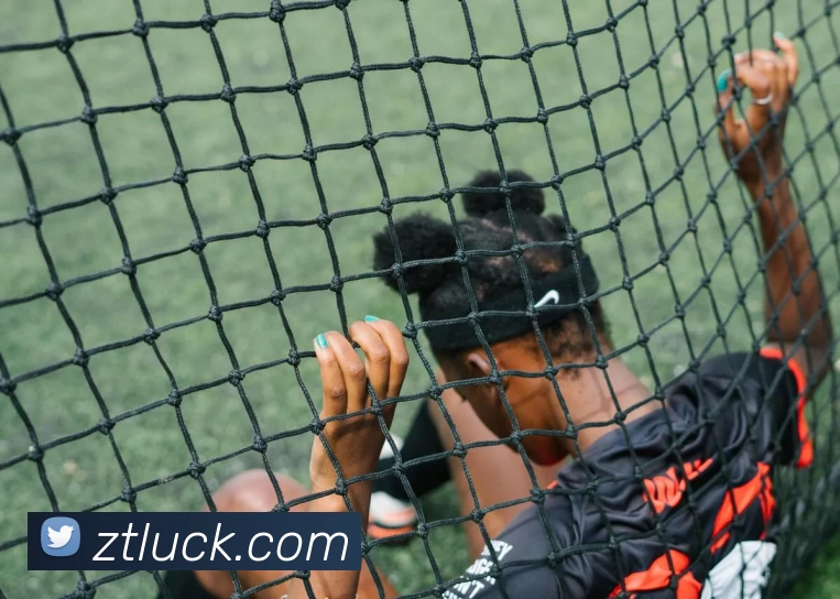 众腾娱乐官网平台生态图